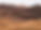 Sand Dunes