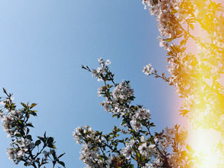 Breaking generational cycles - old photograph