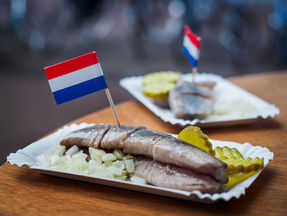 Nieuwe datum haringparty Woensdag 1 juli 2026