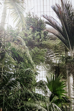 Tropical Greenhouse