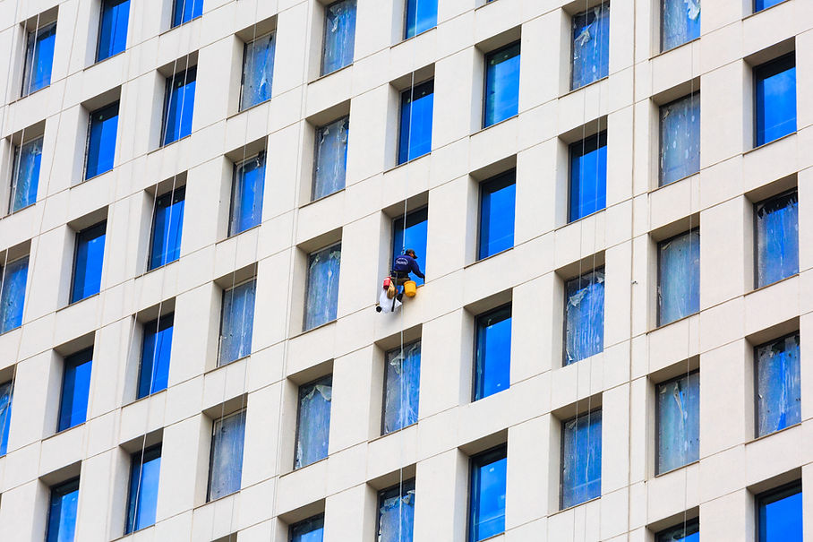 Professional Window Cleaner