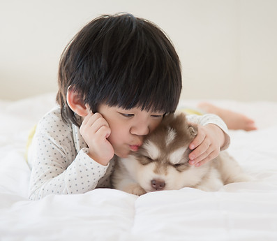 Kid Embracing Puppy