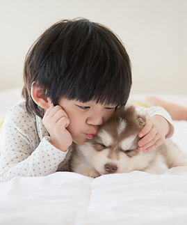 Un enfant embrasse un chiot