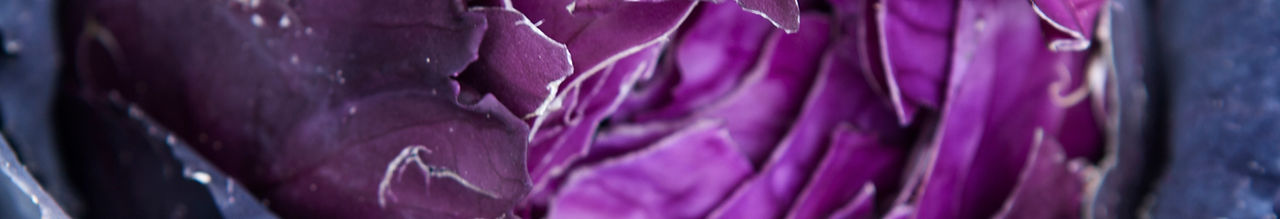 Cabbage