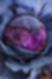 Kohl