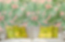 Tropical Wallpaper