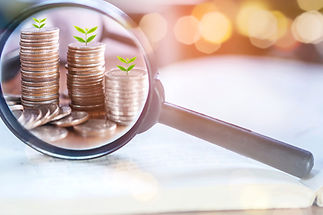 Magnifying glass focuses on tree growing on coins idea