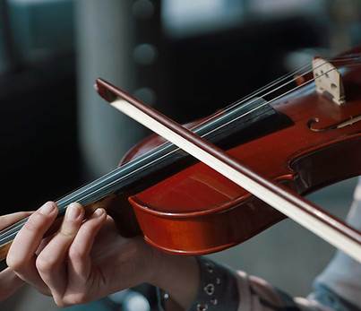 Violin
