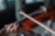 Il violino di Olexandr Pushkarenko