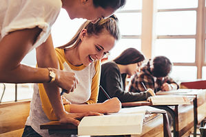 Academic Mentorship Supports Student Growth