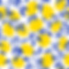 Lemon Pattern Design