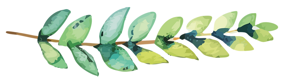 Watercolor Leaf Illustration