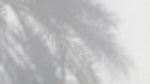 Passive Ownership in an S Corporation: What You Need to Know