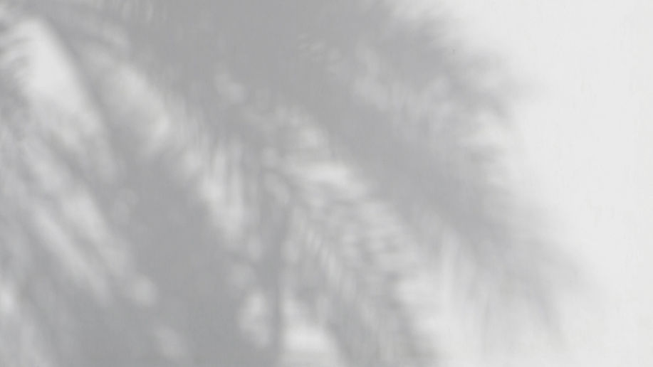 Palm Shadows