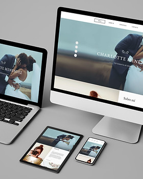 Website Design