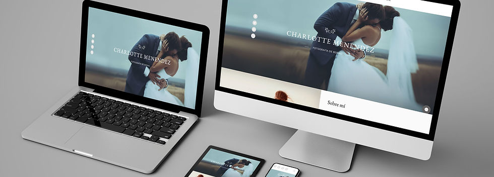 Diseño de sitio web
