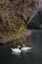 FAMILY NATURE HIKE & ANIMAL MEET UP