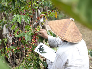 Поток туристов из России во Вьетнам в зимний период значительно увеличивается