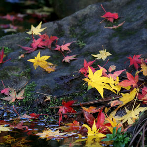 初めての一人旅