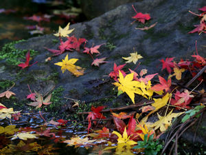 【お知らせ】新規ご相談の一時受付停止(2026年3月末まで)