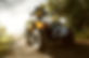 Quad Biking