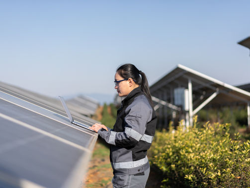 Economia, Sustentabilidade e o Futuro da Energia