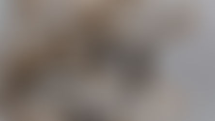 Deri ve Ayakkabı Üretiminde Çevre Dostu Uygulamalar