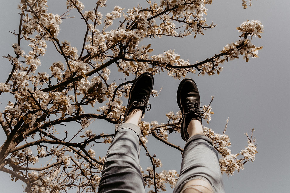 Leather Shoes and Almond Tree