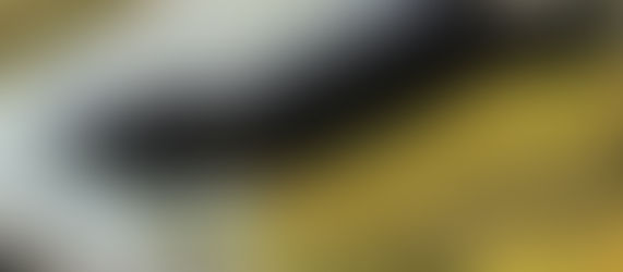 Integrating Climate Awareness in Architecture: A Vital Response to Protecting Florida's Coral Reefs