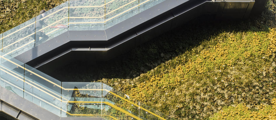 Integrating Climate Awareness in Architecture: A Vital Response to Protecting Florida's Coral Reefs