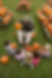 Story of Pumpkin