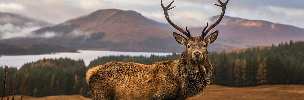Scotland