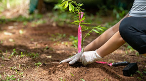 Kentucky Tree Farmer of the Year Field Day