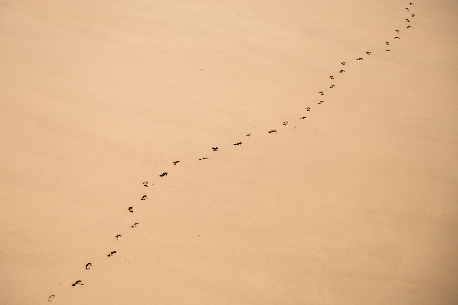 Foot Tracks on Sand