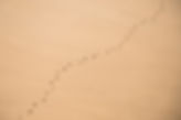 Foot Tracks on Sand