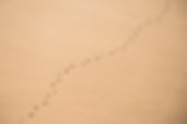 Foot Tracks on Sand