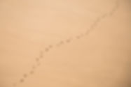 Foot Tracks on Sand