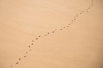 Foot Tracks on Sand