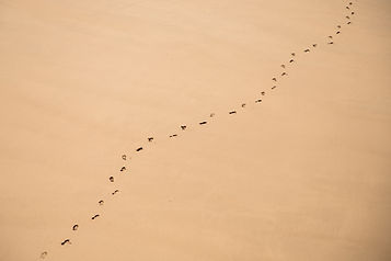 Foot Tracks on Sand