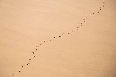 Foot Tracks on Sand