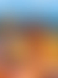 The ex-pat life: How the nomadic life started.