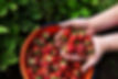 Fresh Strawberries