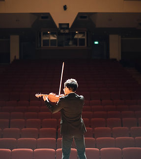 Violin Performer