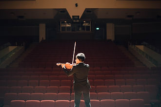 Violin Performer