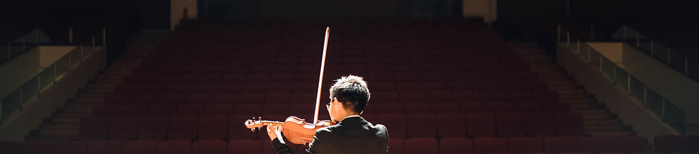 Violin Performer