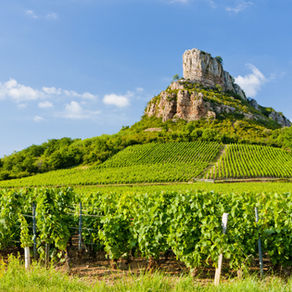 Dégustation, minéralité et L'IA