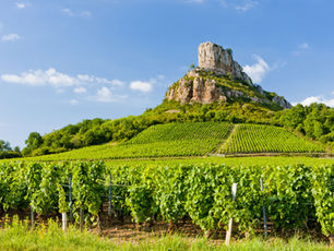 Uncork the Magic: Wine Tasting Adventures in the Penedès Region