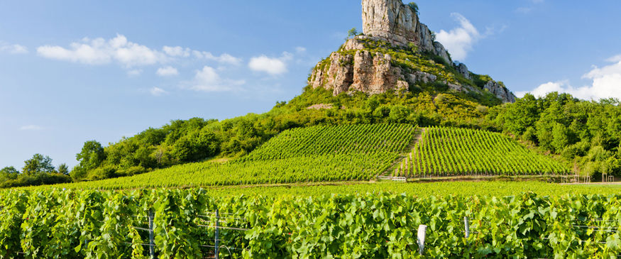 Photographe capturant les toits de Château-Chalon au lever du jour, avec vue plongeante sur les vignobles en terrasse et montagnes en arrière-plan.