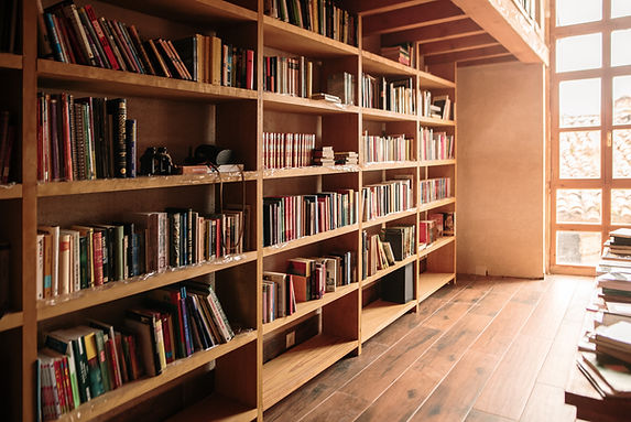 Cozy Library Interior