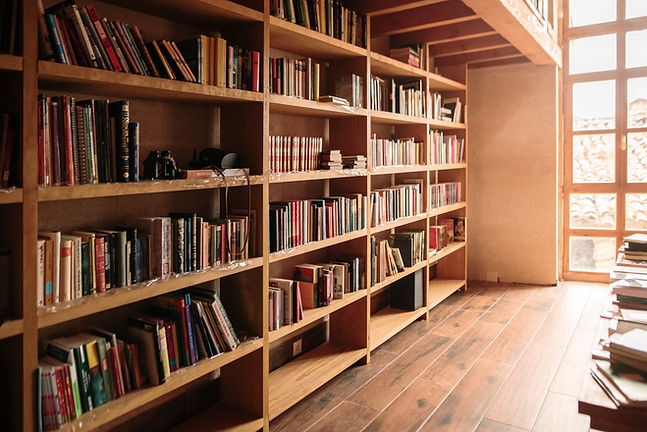 Cozy Library Interior